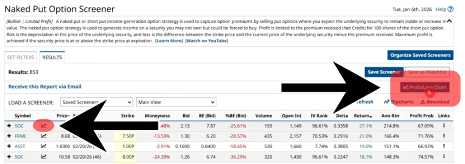 Profit & Loss Chart