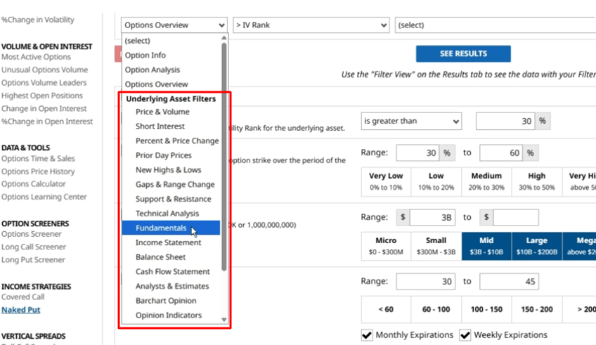 Naked Put Screener Filters